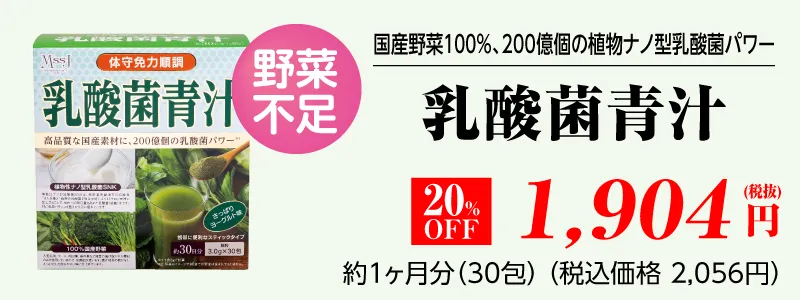 健康補助食品 乳酸菌青汁