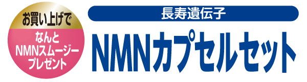 新商品セット③（NMNカプセル+NMNミルクティースムージー）