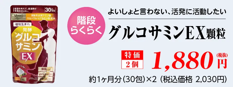 (Wセット)グルコサミンＥＸ