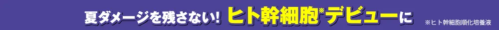 ヒト幹細胞デビューに